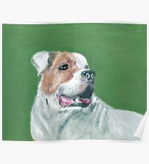 210x230 American Pitbull Terrier Painting Amp Mixed Media Posters Redbubble - Smiling Pitbull Painting