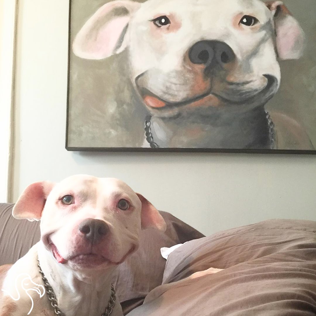 1080x1080 Dog Can'T Stop Smiling After Someone Rescues Him - Smiling Pitbull Painting