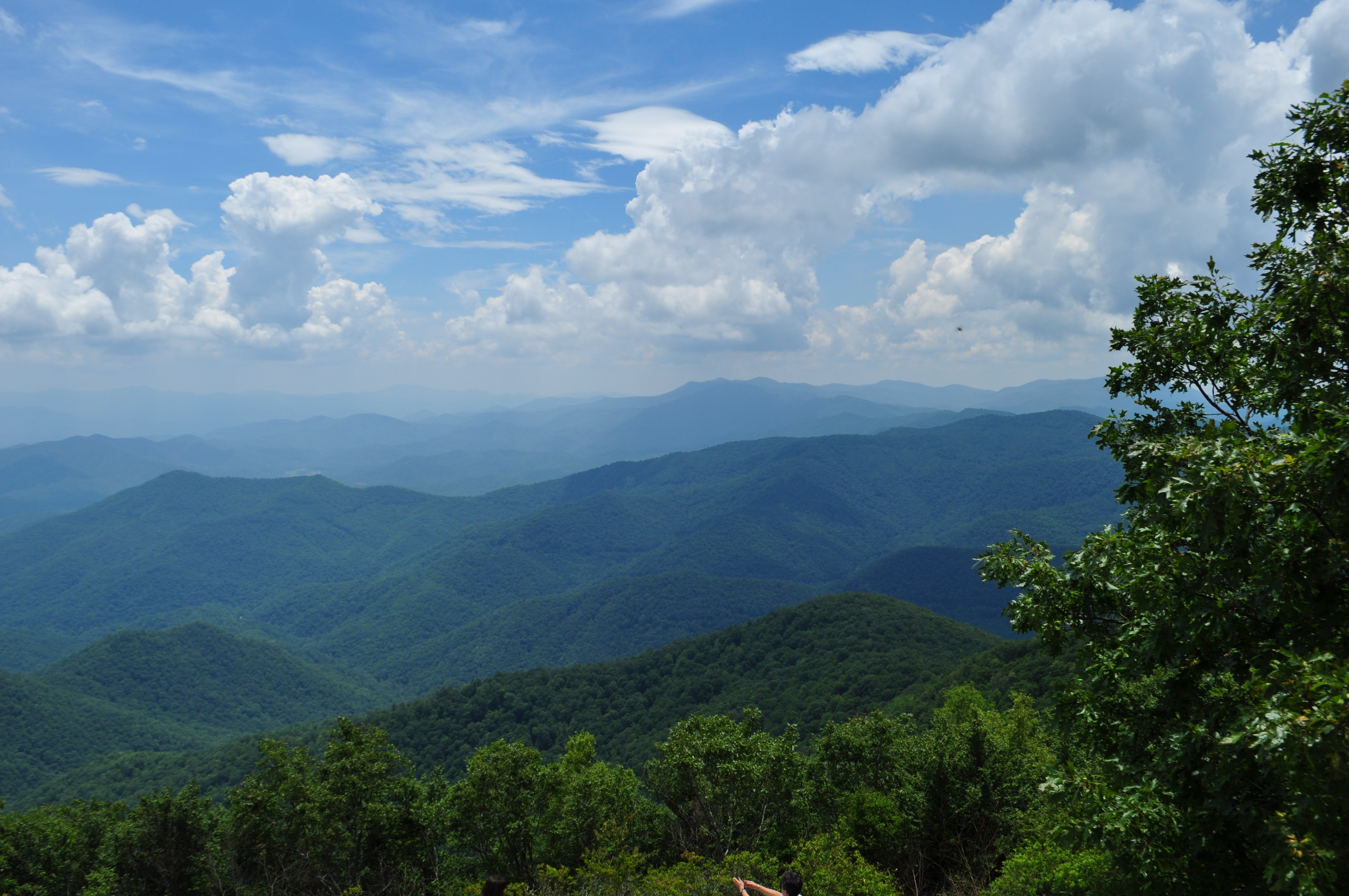 4288x2848 Painting Monkey Needle - Smoky Mountain Painting