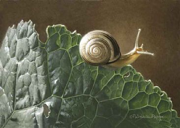 366x261 Snail - Snail Painting