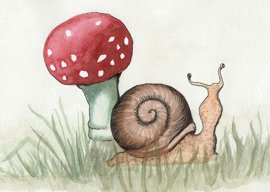900x642 Snail And Mushroom Painting By Melissa Rohr Gindling - Snail Painting