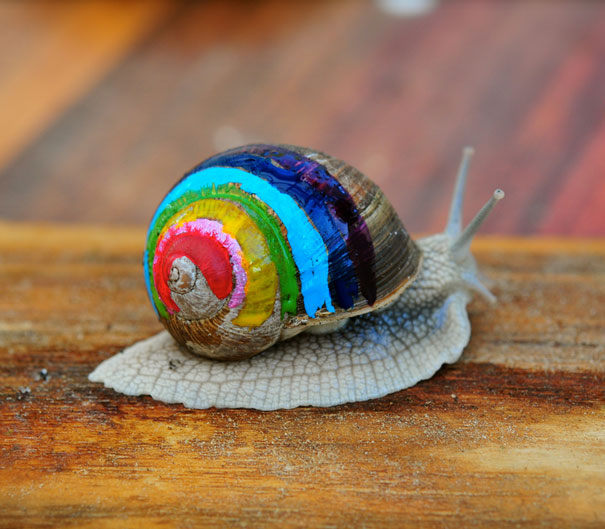 605x529 To Prevent Snails From Getting Stepped On, People Pimp Out Their - Snail Painting