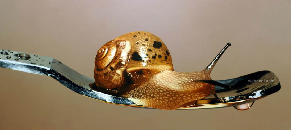 1100x493 Golden Hyper Snail Realistic Painting By Youngsungkim 13 - Snail Painting