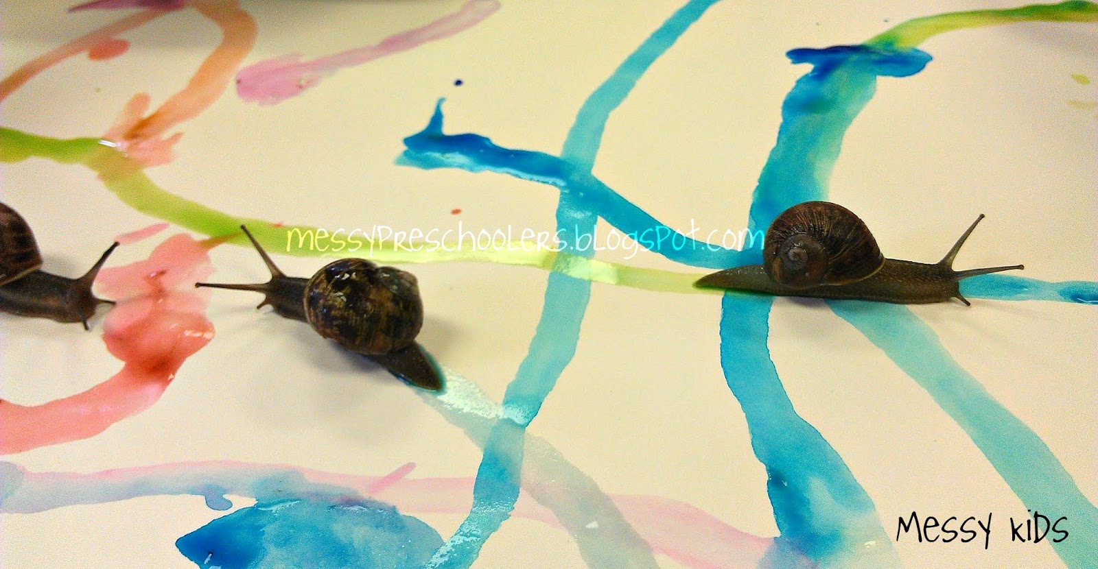 1600x830 Messy Kids Snail Painting - Snail Painting