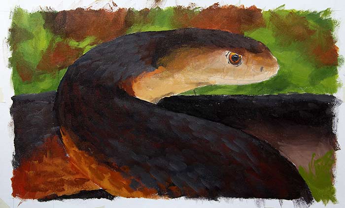 700x422 How To Paint A Snake - Snake Oil Painting