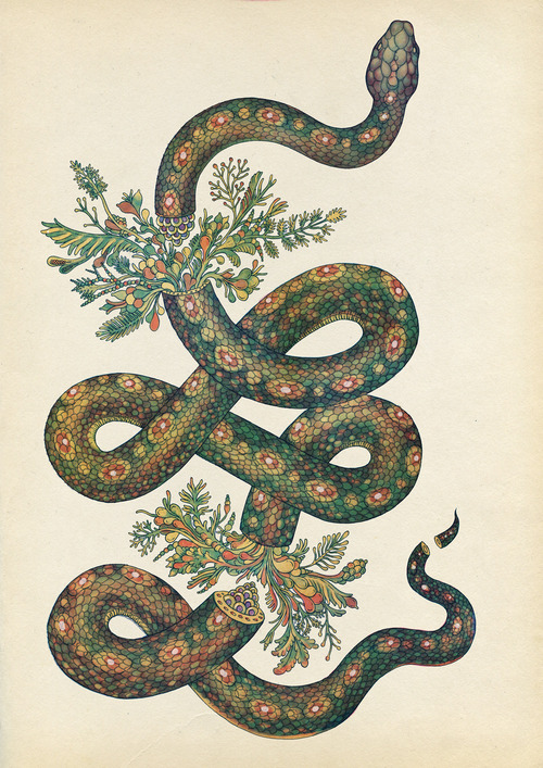 500x707 Snake Painting Astrostyle Astrology And Daily, Weekly, Monthly - Snake Painting
