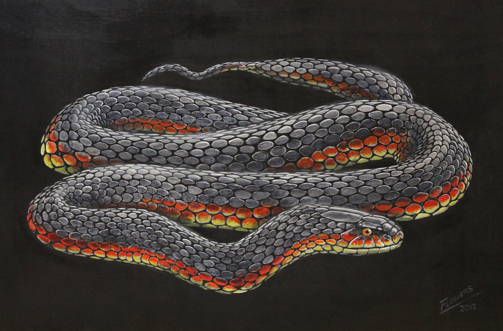 1024x674 Copperhead Painting By Snake Artist - Snake Painting