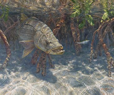 366x306 Snook - Snook Painting