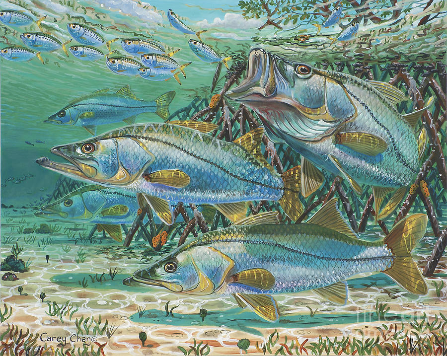 900x717 Snook Attack In0014 Painting By Carey Chen - Snook Painting