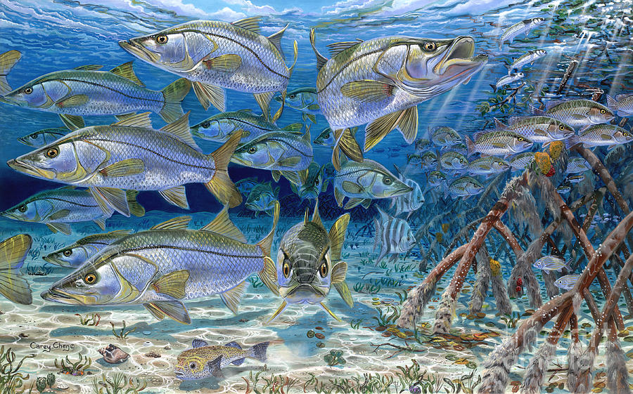 900x561 Snook Cruise In006 Painting By Carey Chen - Snook Painting