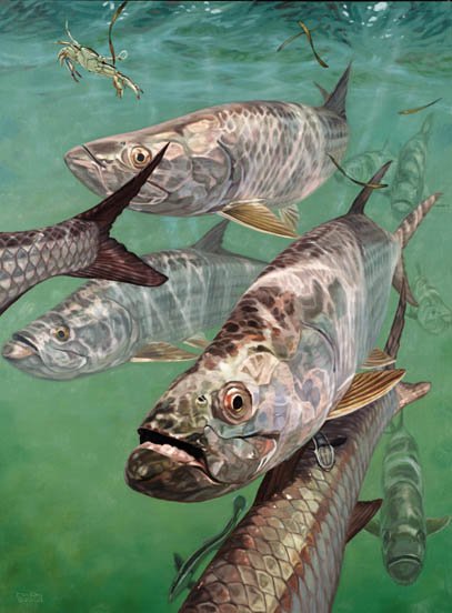 407x552 Tarpon, Bonefish, Redfish, Mutton Snapper, Stingray Paintings By - Snook Painting
