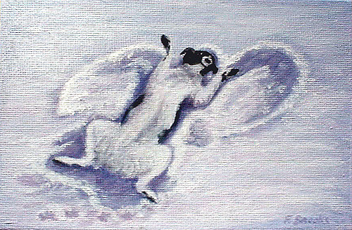 500x328 Border Collie Snow Angel A Border Collie Named Sammy, - Snow Angel Painting