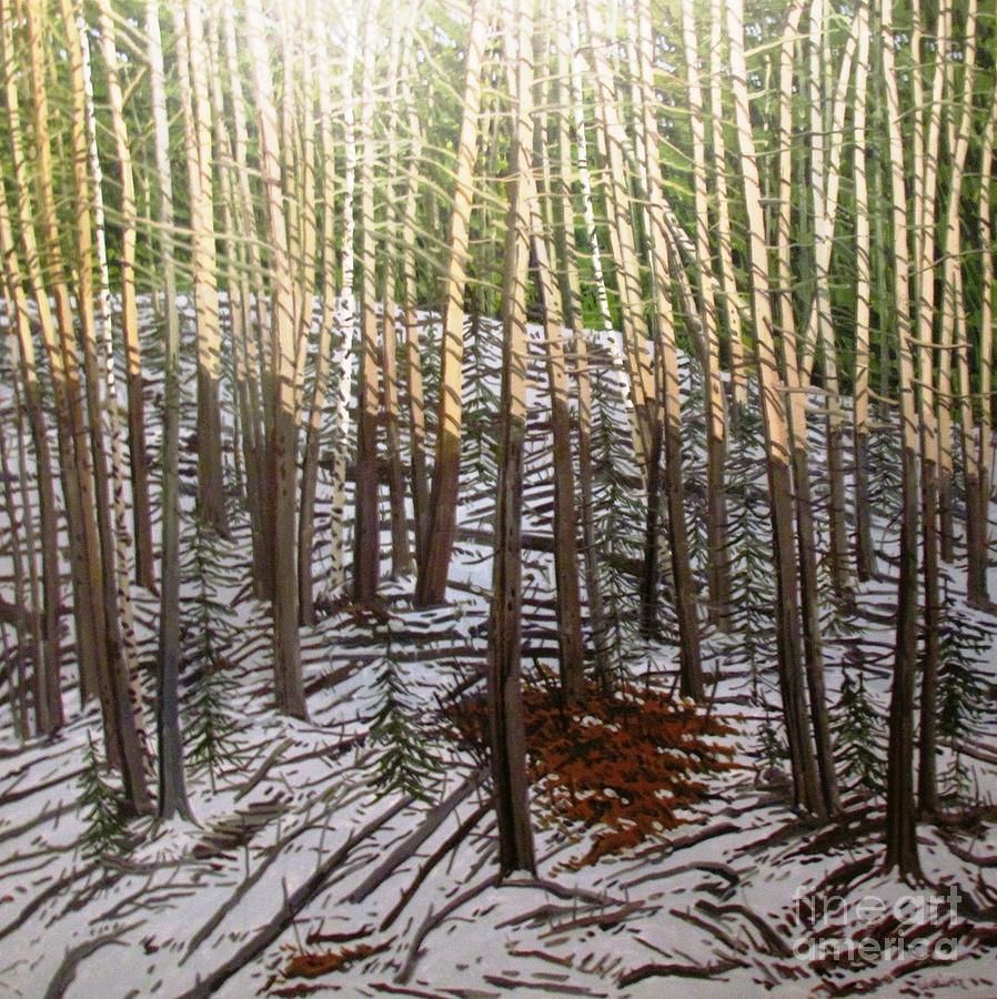 898x900 Tree Trunks Snow Forest Painting Photograph By Ted Pollard - Snow Forest Painting