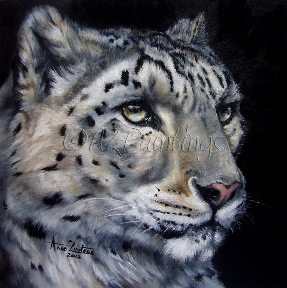 Snow Leopard Painting at PaintingValley.com | Explore collection of ...