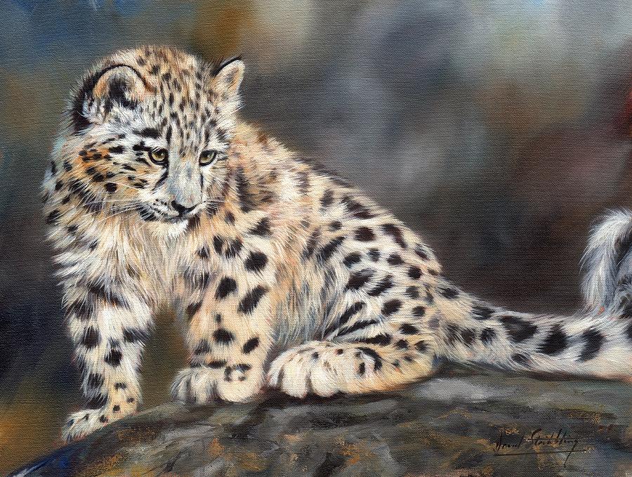 900x679 Snow Leopard Cub Painting By David Stribbling - Snow Leopard Painting