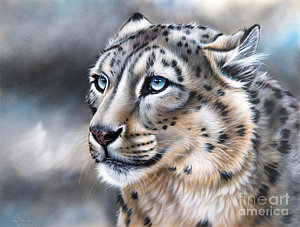 Snow Leopard Painting at PaintingValley.com | Explore collection of ...