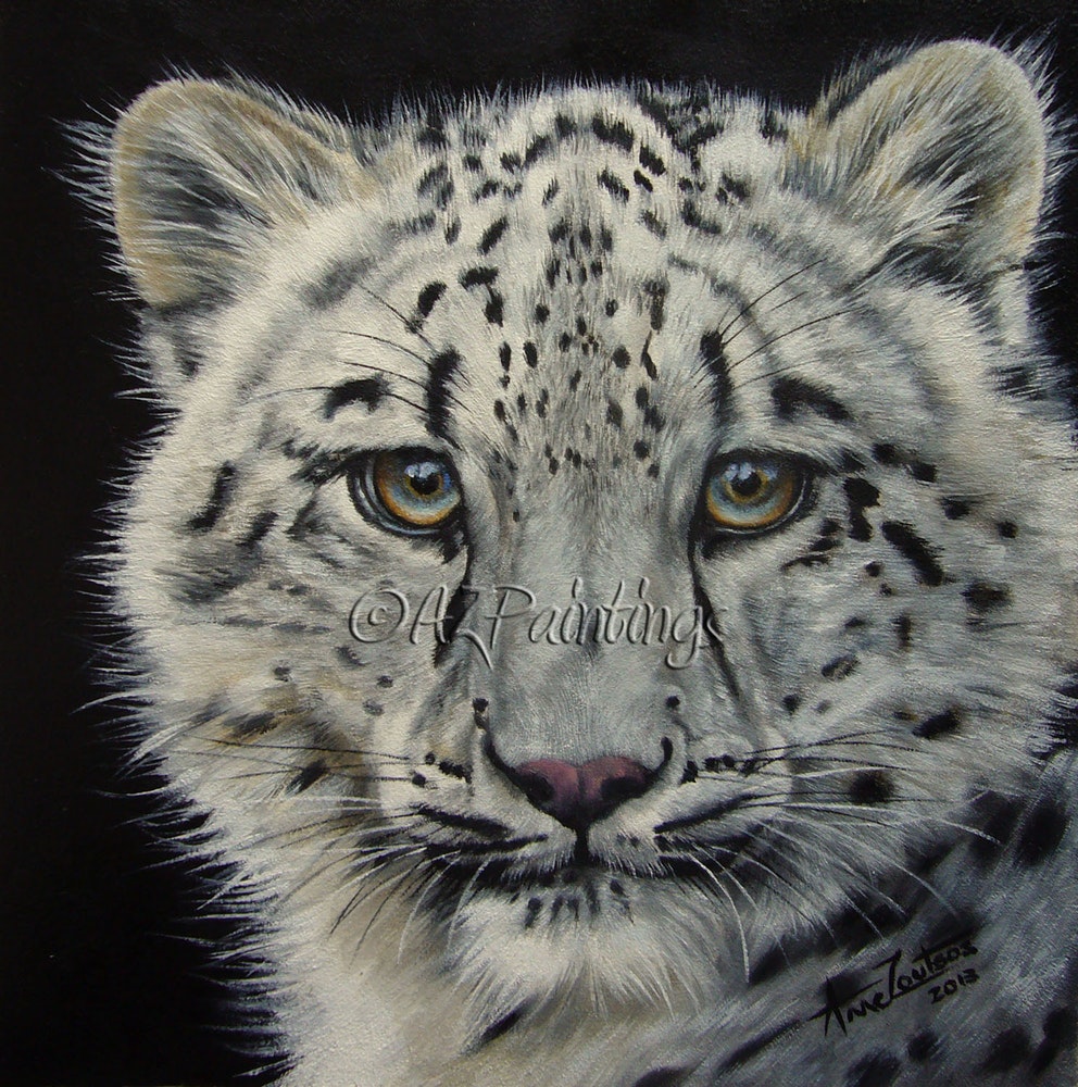 Snow Leopard Painting at PaintingValley.com | Explore collection of ...