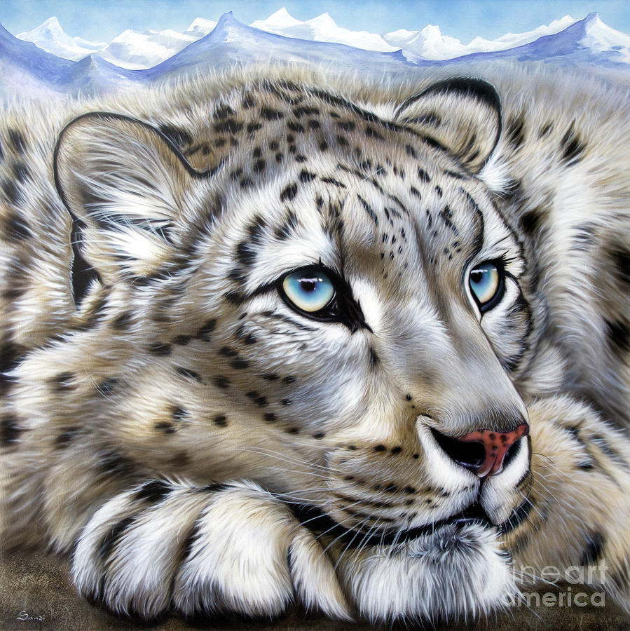 899x900 Snow Leopard's Dream Painting By Sandi Baker - Snow Leopard Painting