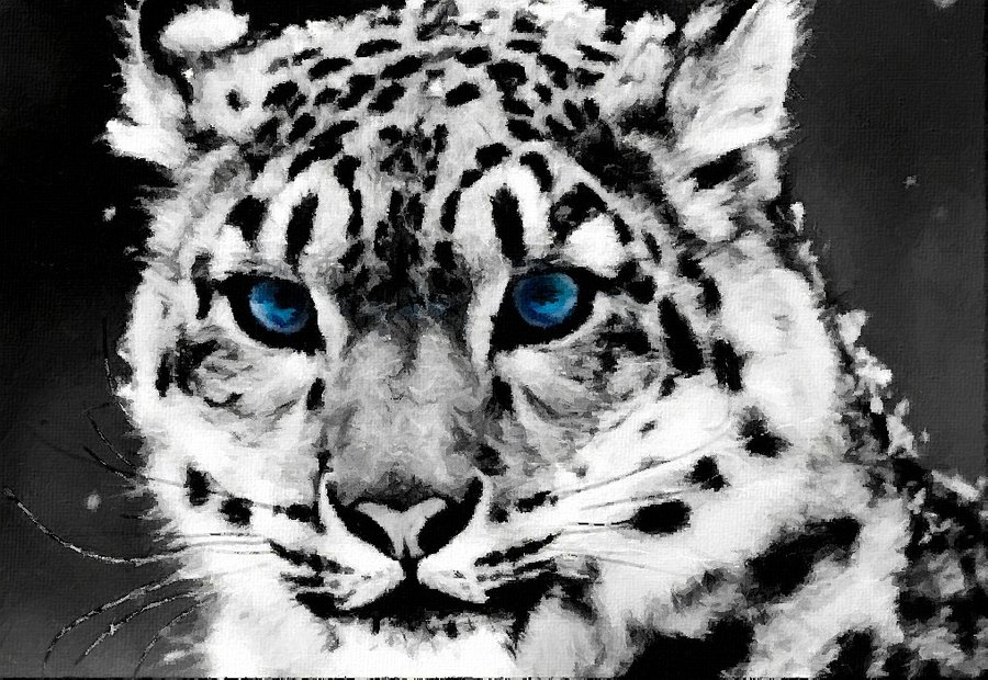 900x620 Snow Leopard Painting By Starry Eyed Animals - Snow Leopard Painting
