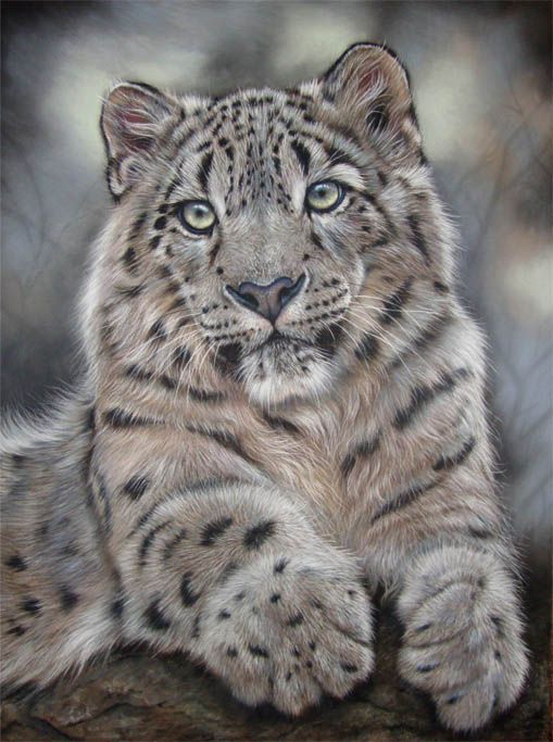 509x683 Kat Davies Realm Of The Snow Leopard Painting Watercolors - Snow Leopard Painting
