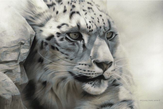 672x448 Ghost Of A Chance Snow Leopard Painting - Snow Leopard Painting