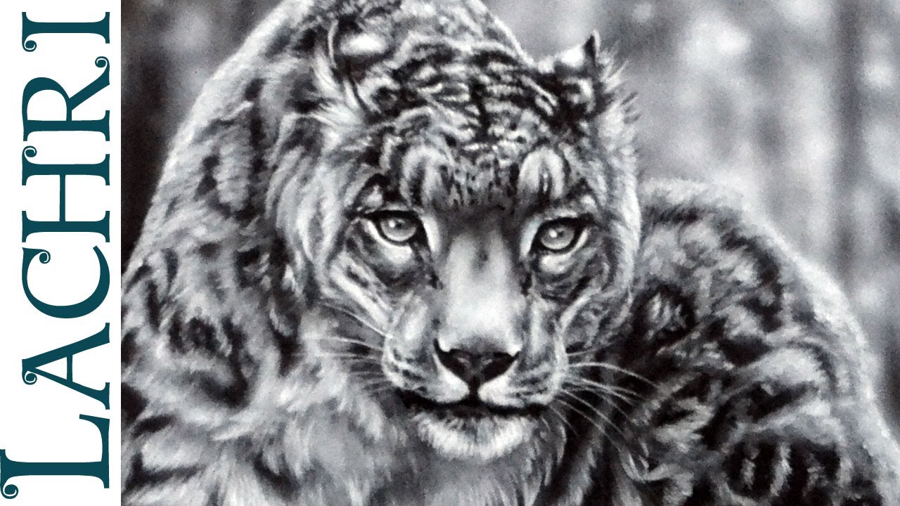 1280x720 How To Paint Fur - Snow Leopard Painting