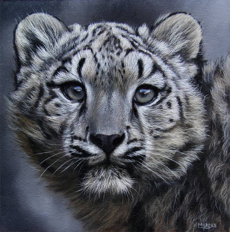 750x755 Index Of Misc Imageson Easelsnow Leopard Cub Painting Mar 13 - Snow Leopard Painting