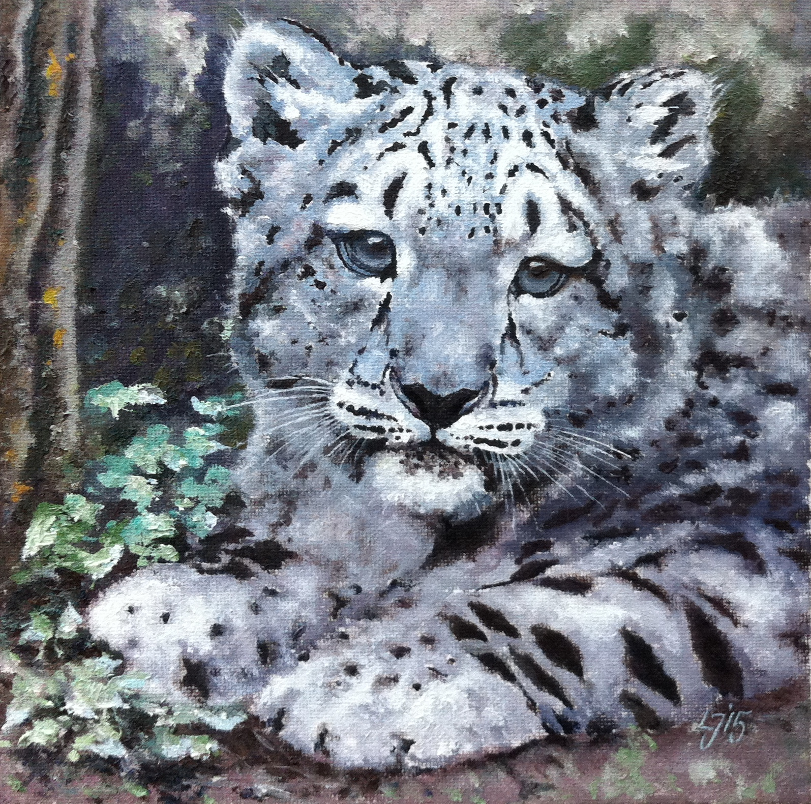 1595x1581 Oil Painting Snow Leopard Cub Yukichi Species Conservation Boutique - Snow Leopard Painting