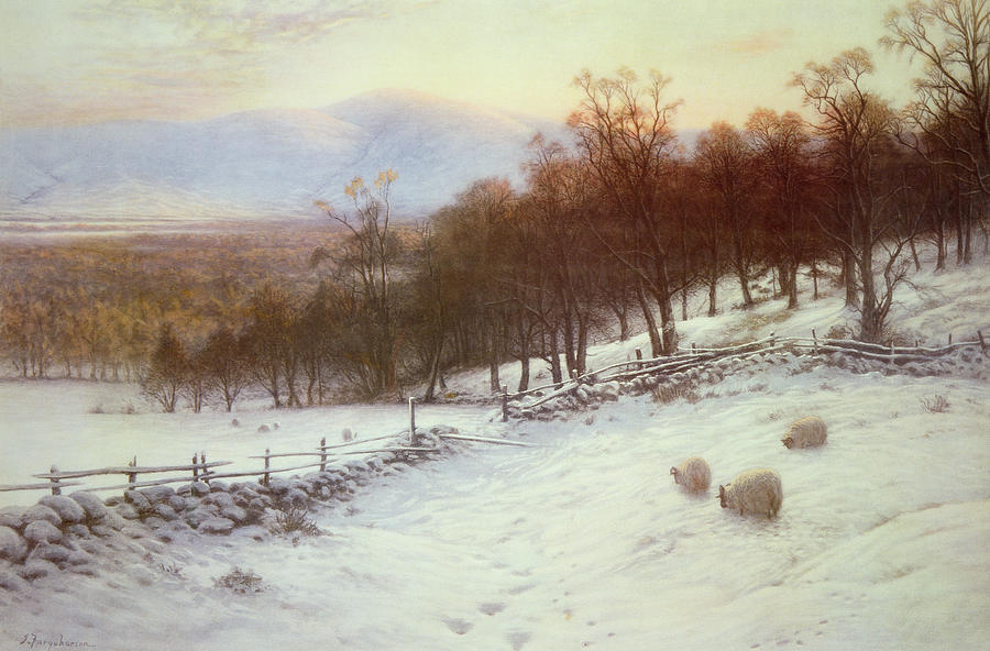 900x592 Snow Covered Fields With Sheep Painting By Joseph Farquharson - Snow Painting