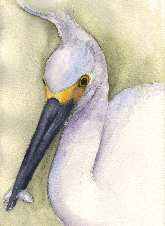 700x961 Red And The Peanut Painting - Snowy Egret Painting