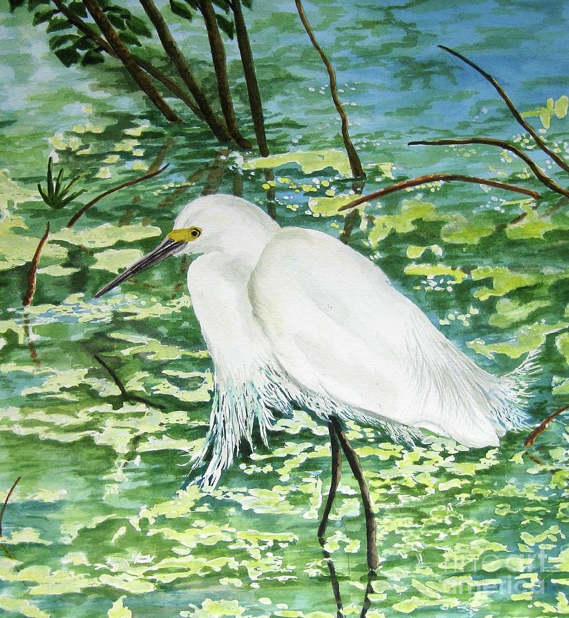 828x900 Snowy Egret Painting By Diane Marcotte - Snowy Egret Painting