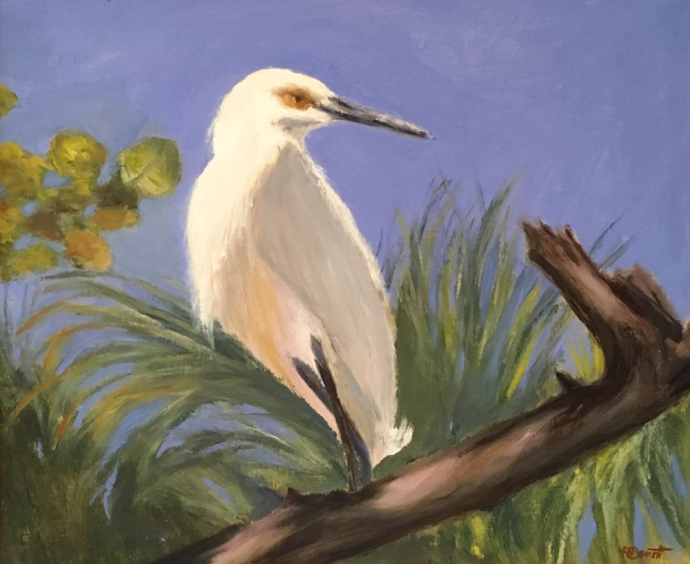 1000x818 Snowy Egret Working The Camera Maple And Main Gallery Of Fine Art - Snowy Egret Painting