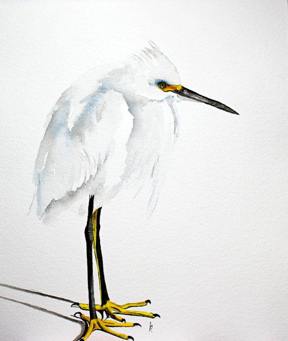 570x675 Original Bird Painting Bird Art Snowy Egret Mr. Crisp Watercolor - Snowy Egret Painting