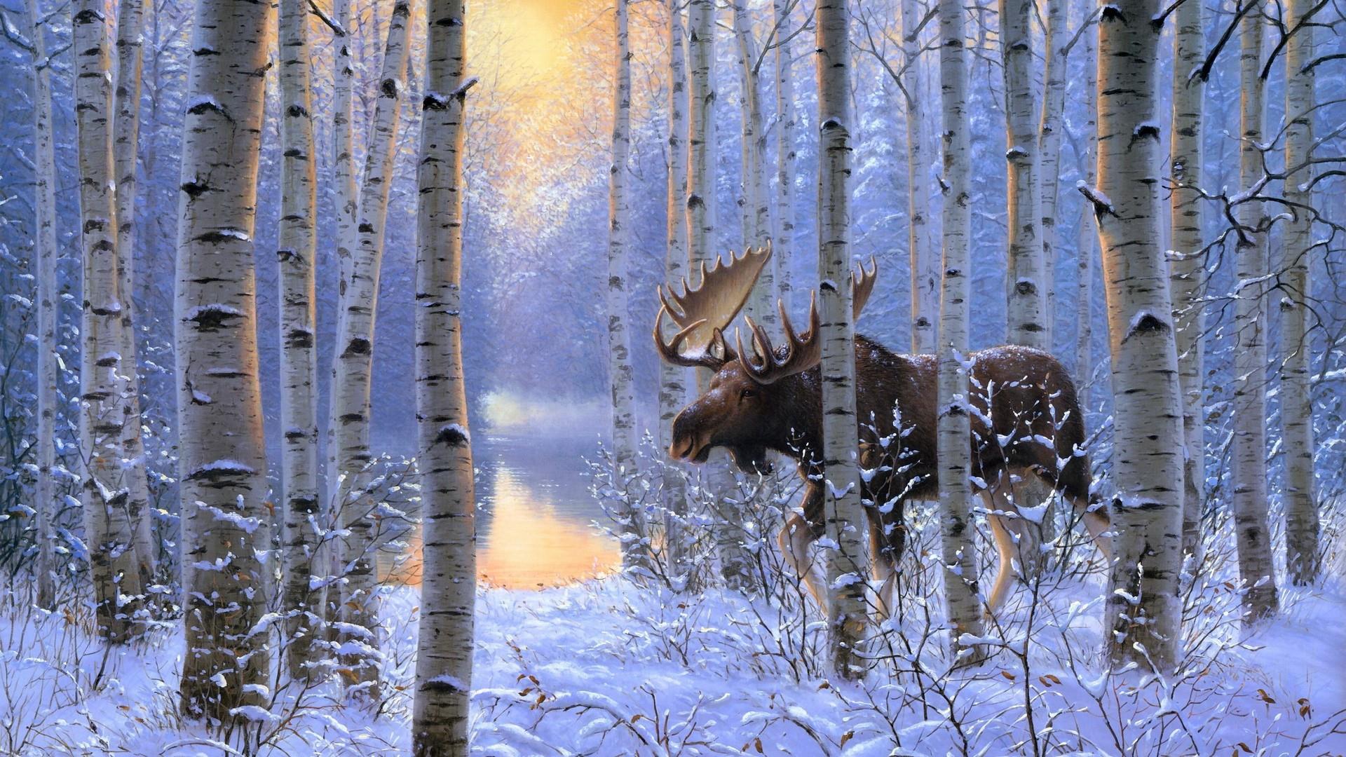 1920x1080 Moose In The Snowy Birch Forest - Snowy Forest Painting