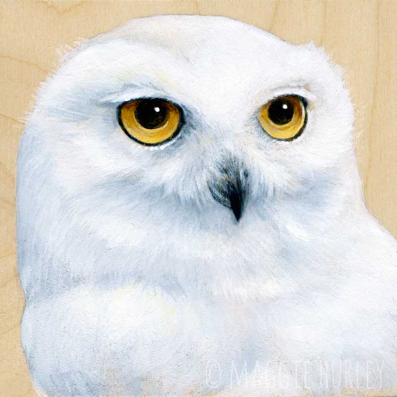 800x800 Snowy Owl - Snowy Owl Painting
