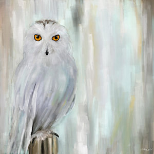 Snowy Owl Painting at PaintingValley.com | Explore collection of Snowy ...