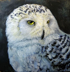 240x248 Wildlife Paintings, A Snow Leopard And A Snow Owl. - Snowy Owl Painting