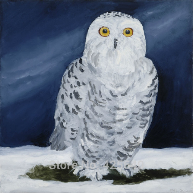 Snowy Owl Painting at PaintingValley.com | Explore collection of Snowy ...