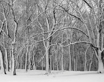340x270 Snowy Woods Etsy - Snowy Woods Painting