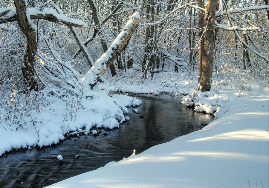 900x630 Soft Snowy Woods Photograph By Donna Caplinger - Snowy Woods Painting