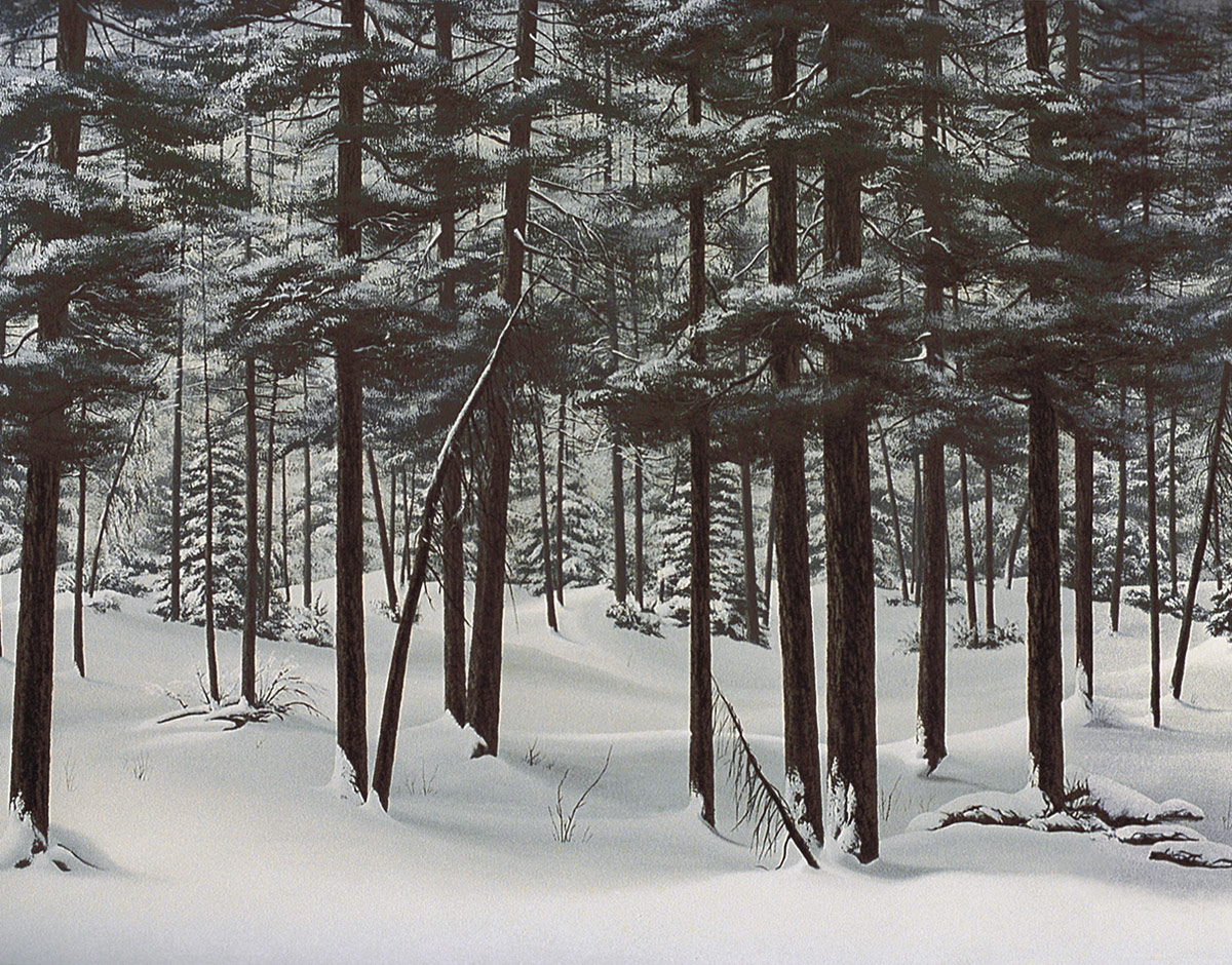 1200x940 Stock Photo - Snowy Woods Painting