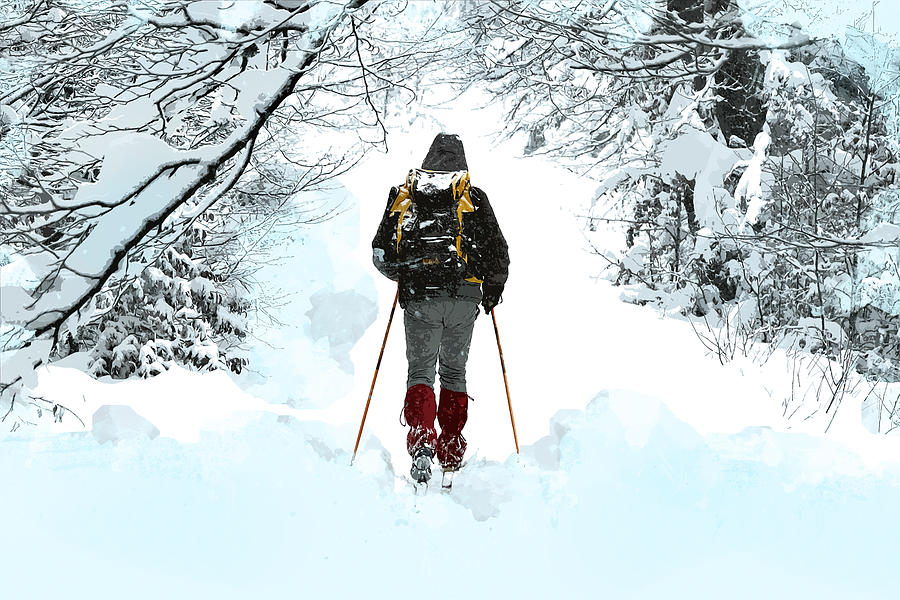 900x600 Cross Country Through Snowy Woods Painting By Elaine Plesser - Snowy Woods Painting