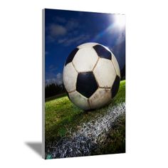 236x236 Soccer Canvas Painting - Soccer Ball Painting