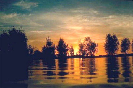 450x301 Pastel Painting Techniques By L. Diane Johnson - Soft Pastel Painting