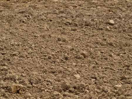 450x338 Painting With Dirt Tulsa Botanic Garden - Soil Painting