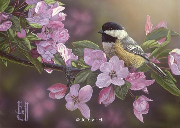 600x427 Original Songbird Paintingsby Jeffrey Hoff 20 - Songbird Painting