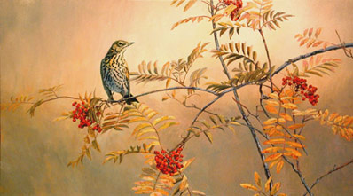 398x221 Pictures Of Songbirds - Songbird Painting
