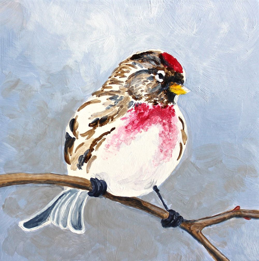 1000x1008 Red Poll Bird Songbird Original Bird Painting Acrylic On Board 4 - Songbird Painting
