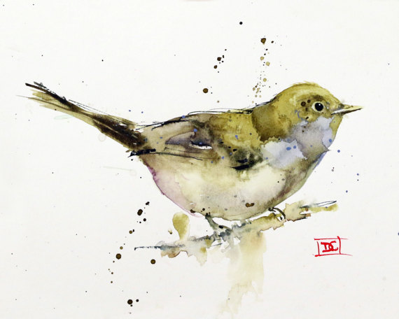570x456 Songbird Watercolor Print Bird Art Painting By Dean Crouser - Songbird Painting
