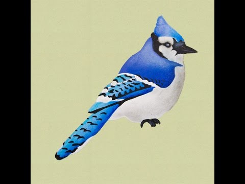 480x360 Simple Stenciled Songbirds Tole And Decorative Painting By - Songbird Painting